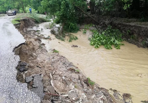 Viituri în comuna Goleşti - Vâlcea Foto Ana-Maria Carstea