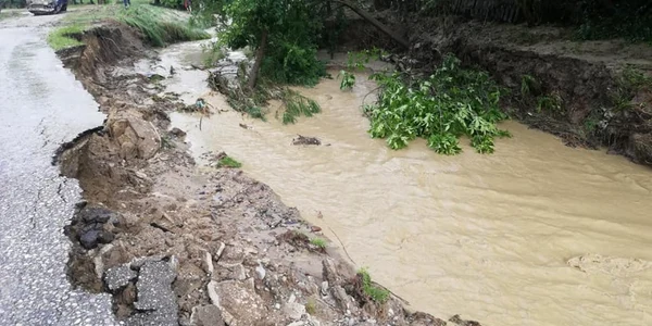 Viituri în comuna Goleşti - Vâlcea Foto Ana-Maria Carstea