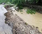 Viituri în comuna Goleşti - Vâlcea Foto Ana-Maria Carstea