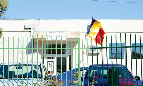Irina Truică  s a dus la  tribunal cu avocatul ei jpeg