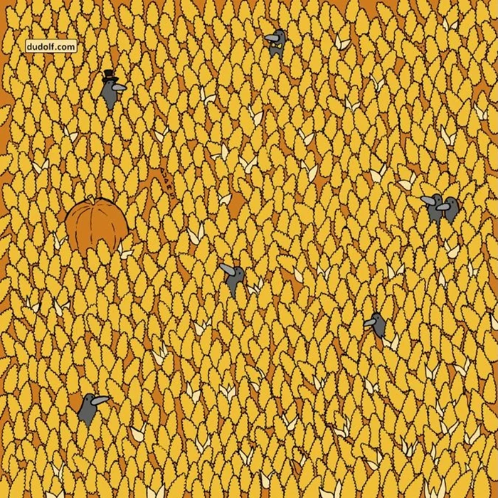 Para trebuie găsită în doar 15 secunde / foto: Dudolf