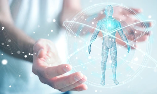 1 shutterstock 1005896620 jpg jpeg