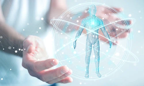 1 shutterstock 1005896620 jpg jpeg