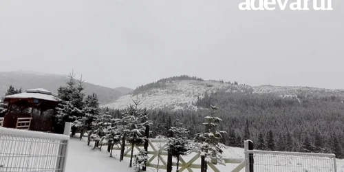 iarna padina