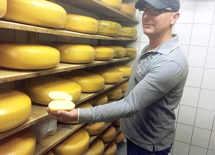 Scroafele se dau pe tobogane