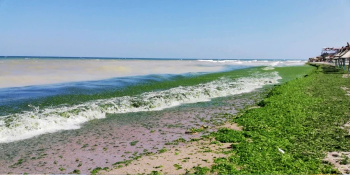 Porţiune de plajă din Vama Veche                                                                       FOTO ABADL