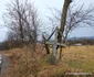 Satul Holdea din Hunedoara Foto Daniel Guță ADEVĂRUL (3) jpg
