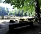 Saemizegetusa Regia  Foto Daniel Guță ADEVĂRUL (9) JPG