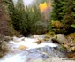 cascada lolaia din retezat foto daniel guta
