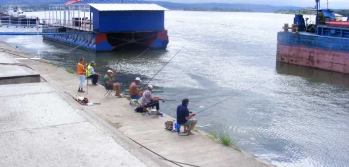 Pescari pe malul Dunării în portul severinean FOTO Corina Macavei