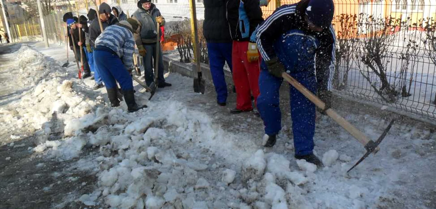 Deținuții, la muncă voluntară