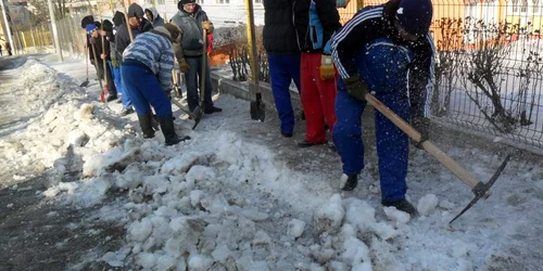 Deținuții, la muncă voluntară