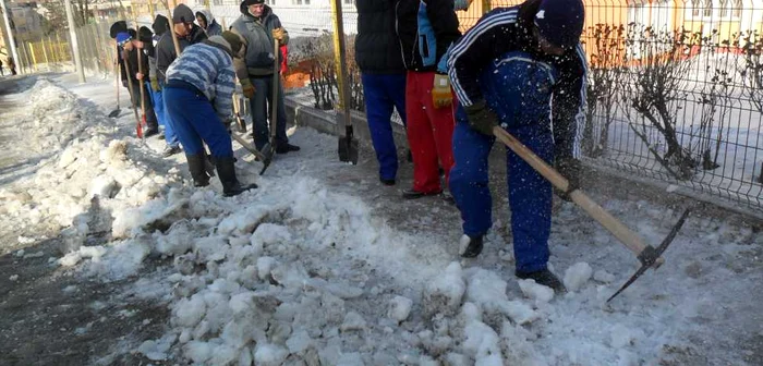 Deținuții, la muncă voluntară