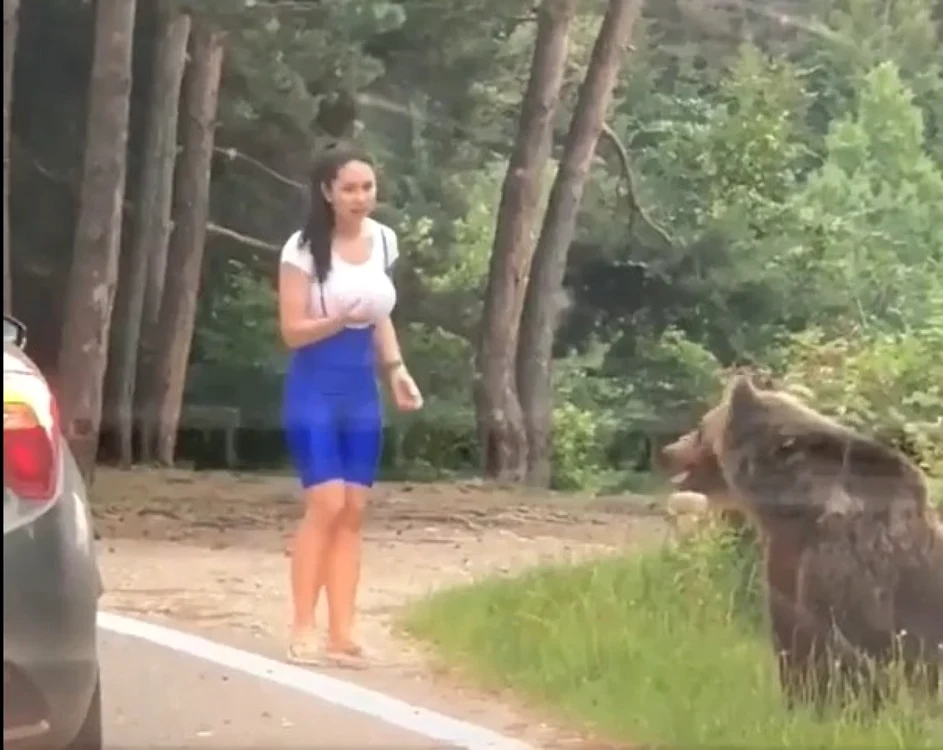 Tânăra a reuşit să scape doar pentru că animalul sălbatic nu a continuat atacul. Imagine: Captură video