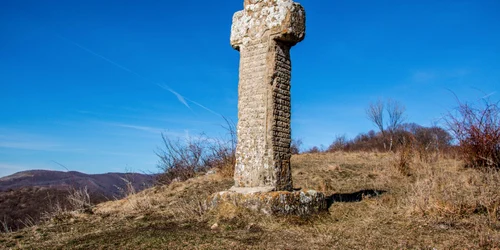 crucea lui ursache foto