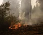 Incendiul Dixie - California - 18 aug 2021 / FOTO EPA - EFE