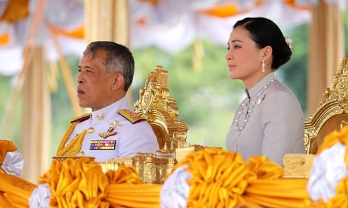 1 shutterstock 1393034405 1 jpg jpeg