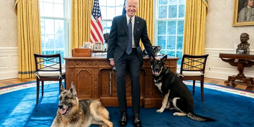 caini joe biden