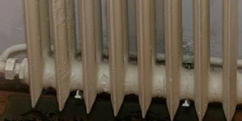 Bistriţa:Cererile de subvenţie vor creşte cu 10 procente