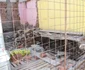 fara apa si canalizare in centrul bistritei 4