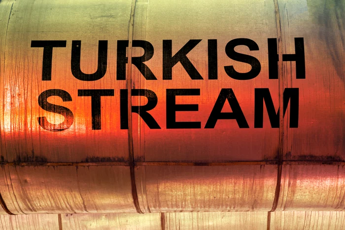 Președintele Putin a vorbit despre posibile acte de sabotaj la Turkish Stream. Foto: Shutterstock