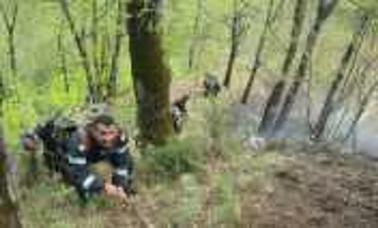 Incendiile de vegetatie uscata s-au extins si in padure