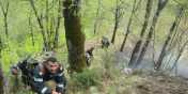 Incendiile de vegetatie uscata s-au extins si in padure