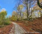 Drumul spre Vadu Dobrii Hunedoara  Foto Daniel Guță (26) jpg