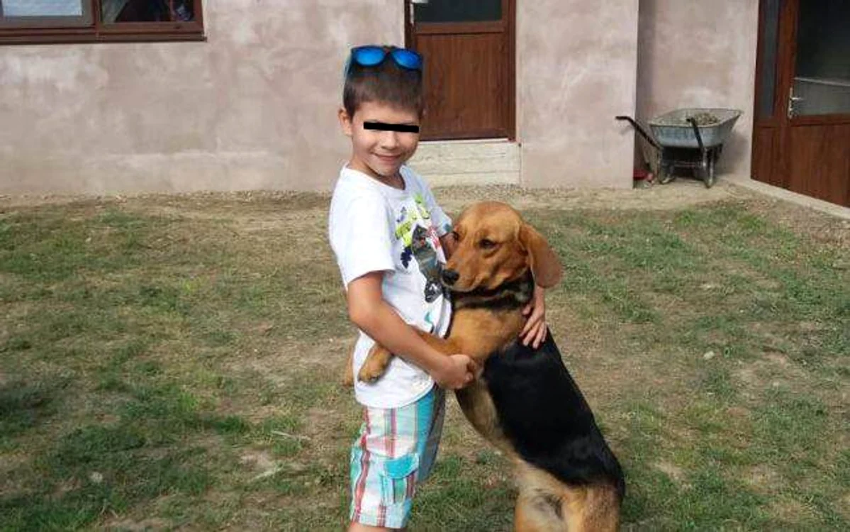 Copilul care a dispărut miercuri, 21 august, din zona Piața Unirii din Focșani, şi găsit după două ore a fost luat de un individ cunoscut ca pedofil în judeţul GalaţiFOTO: adevarul.ro