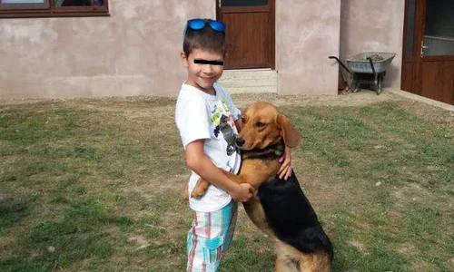 andrei copil rapit in focsani de un pedofil jpeg