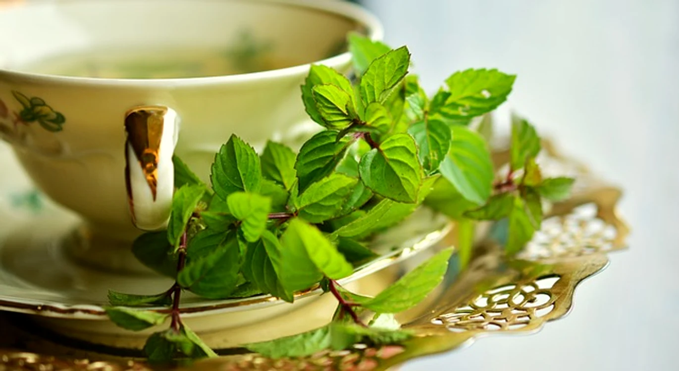 Aroma de mentă sporește puterea de concentrare, dar și performanța fizicăFoto: pixabay.com