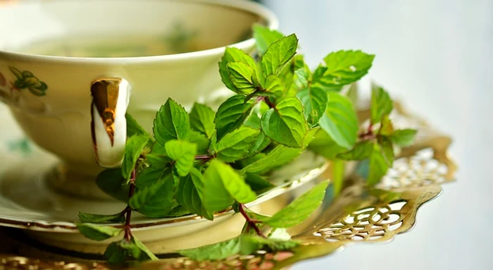 
    Aroma de mentă sporește puterea de concentrare, dar și performanța fizicăFoto: pixabay.com  