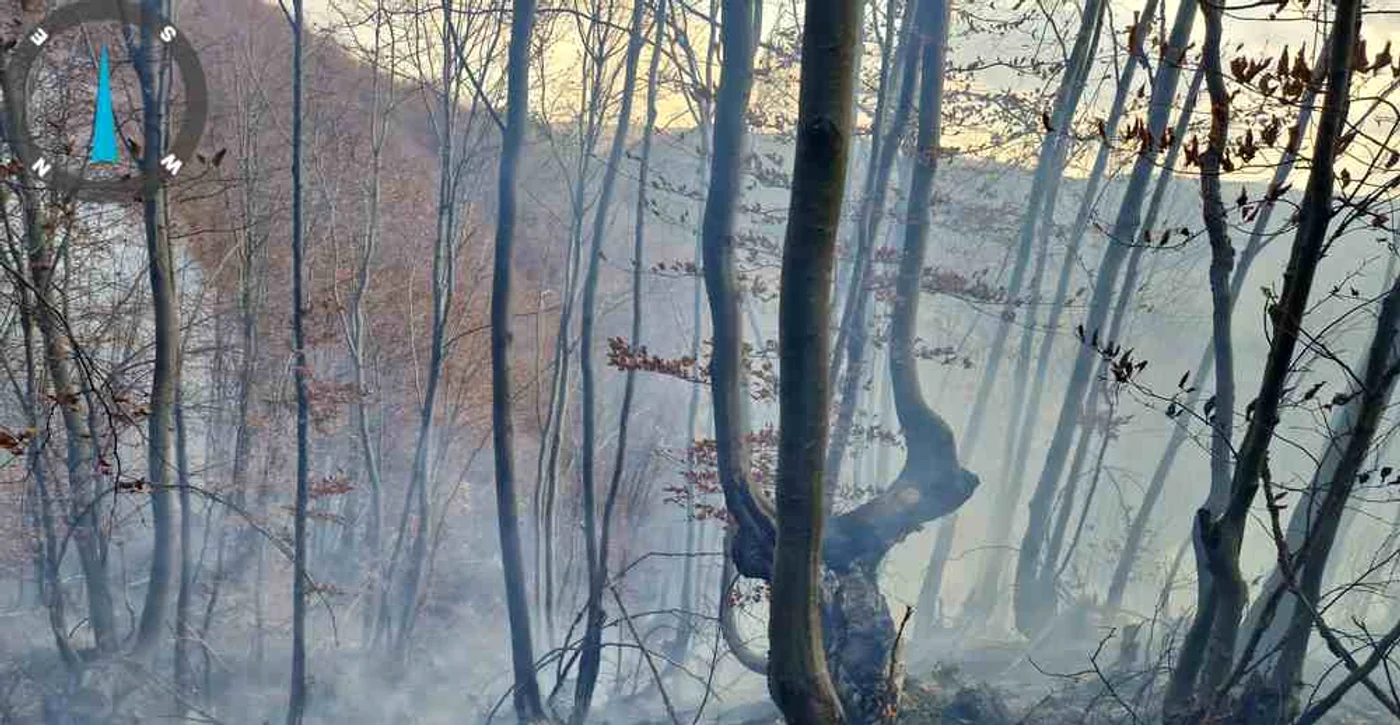 Pompierii au reușit să stingă flăcările pe o anumită porțiune din pădure FOTO ISU Bacău