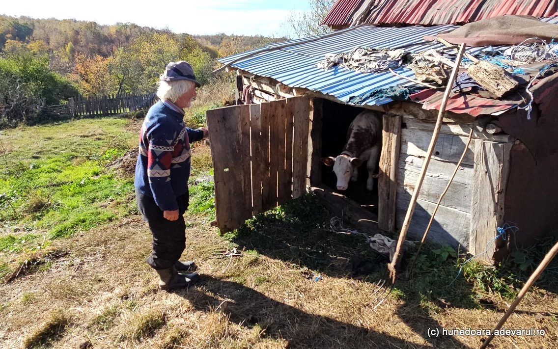 Satul Boia Barzii din Hunedoara Tinutul Padurenilor  Foto Daniel Guță ADEVĂRUL (12) jpg