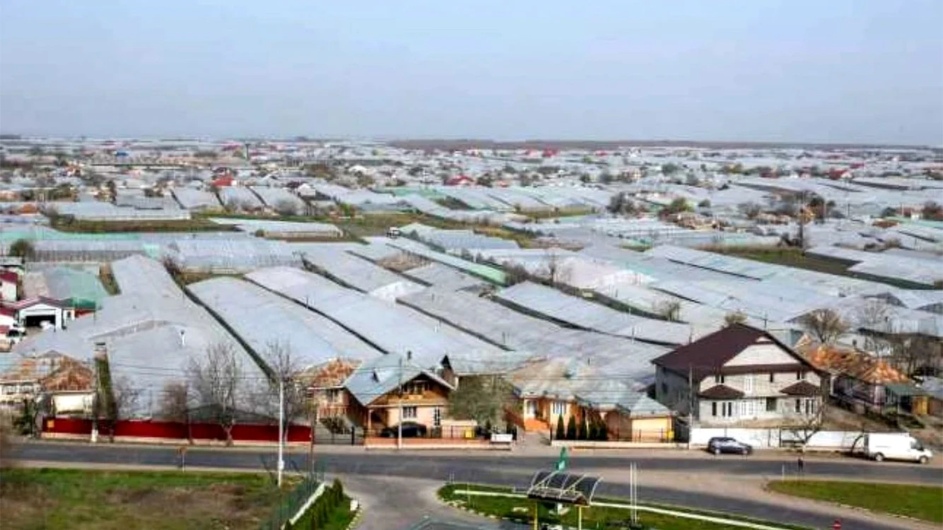Matca, cel mai cunoscut bazin legumicol din țară FOTO: Arhivă, Adevărul