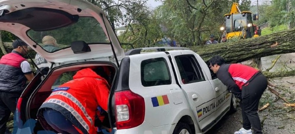 Copac prăbușit, din cauza vijeliei, peste o mașină a Poliției Locale în județul Bacău. Unul dintre agenți a rămas blocat