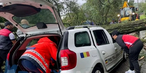 Copac căzut peste mașina poliției locale Foto Bacău net jpeg