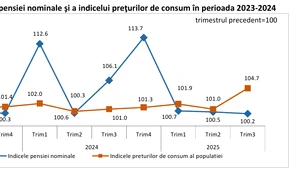 Indice pensii FOTO INS png