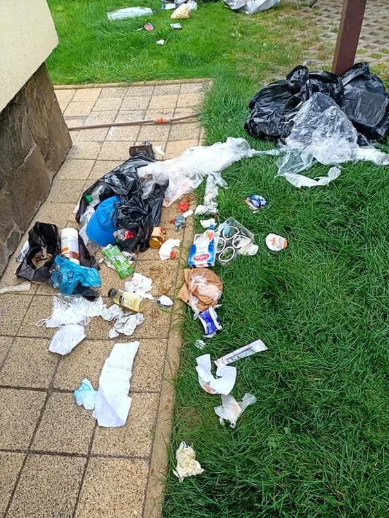 Pomii fructiferi aveau trunchiurile sfâșiate de gheare. Foto: Facebook