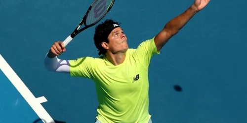 Raonic