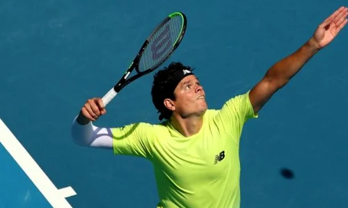 Raonic