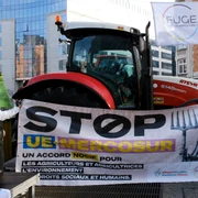 Protestele fermierilor fata de acordul Mercosur FOTO Shutterstock