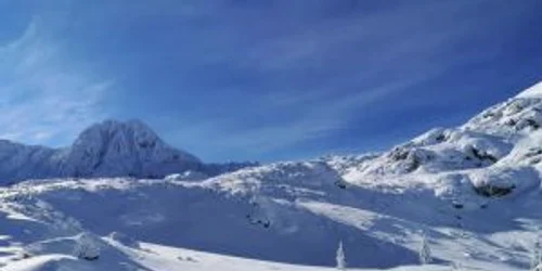 5c345f56df52022f755eb903 jpg