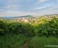 Dealul Sanpetru din Hunedoara Foto Daniel Guță ADEVĂRUL (1) jpg
