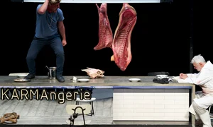 Pilda delfinului jpeg