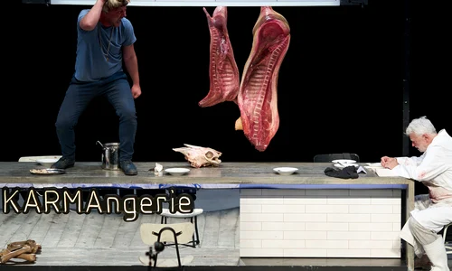 Pilda delfinului jpeg