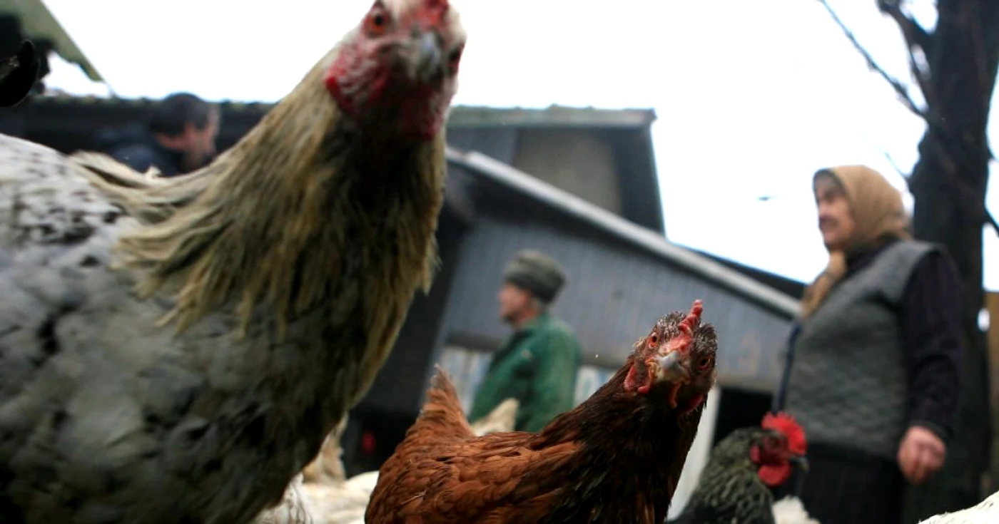Hoţii sunt suspectaţi de comiterea altor furturi pe raza judeţului. Foto arhivă Adevărul