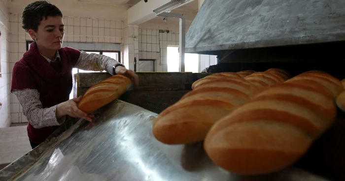 Imagini dintr-o fabrică de pâine Foto: Adevărul