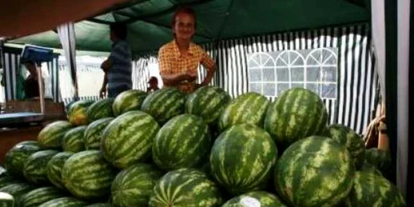 Oamenii legii au retras de pe piaţă, 200 de kg de pepeni