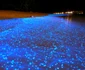 Locuri SF din lume